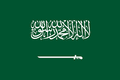 undefined flag